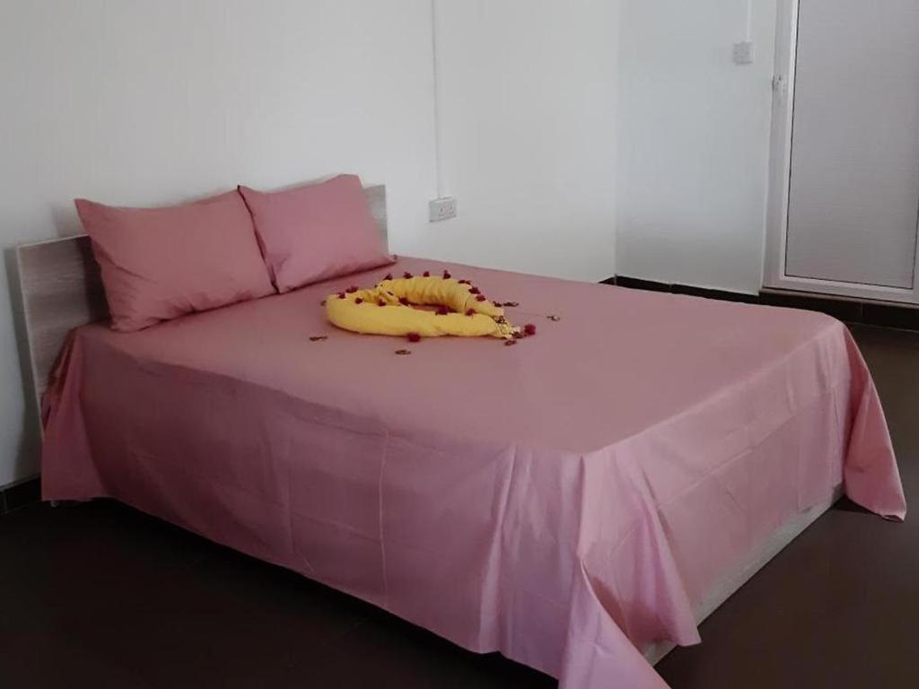 بوانت أو كانونيرس Double Room In Nice Palais المظهر الخارجي الصورة